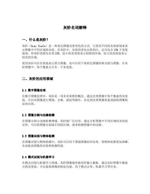 灰阶名词解释