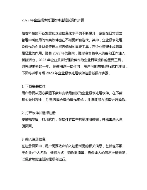2023年企业报表处理软件注册版操作步骤