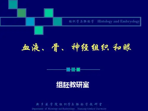 嗜酸性粒细胞透射电镜图