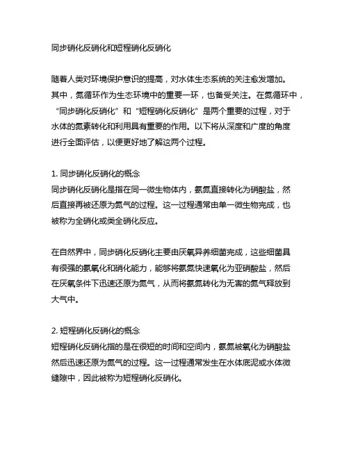 同步硝化反硝化和短程硝化反硝化