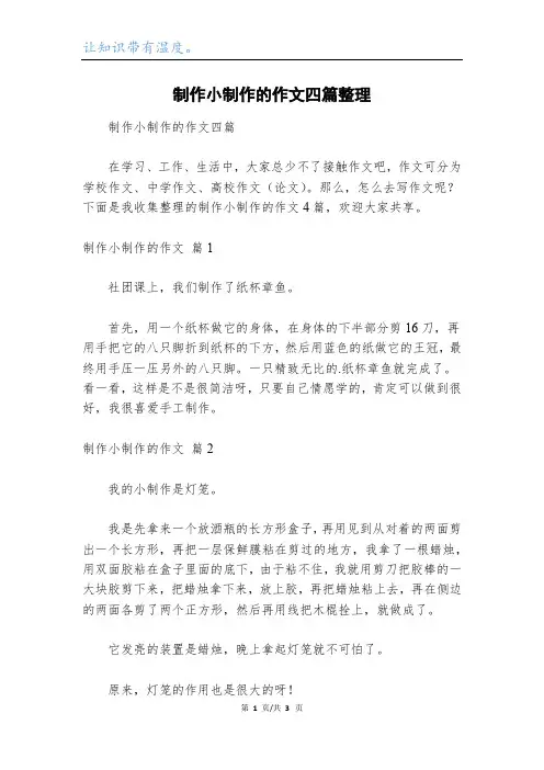 制作小制作的作文四篇整理