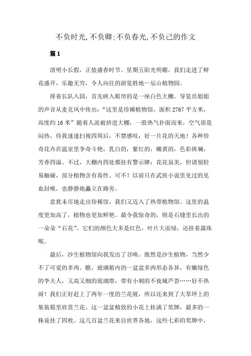 不负时光,不负卿;不负春光,不负己的作文