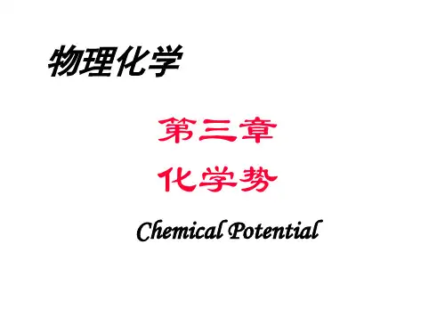 物理化学第三章分析解析