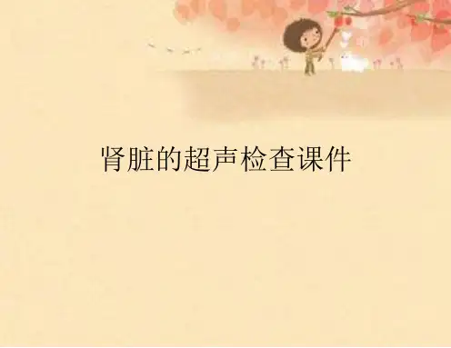 肾脏的超声检查课件