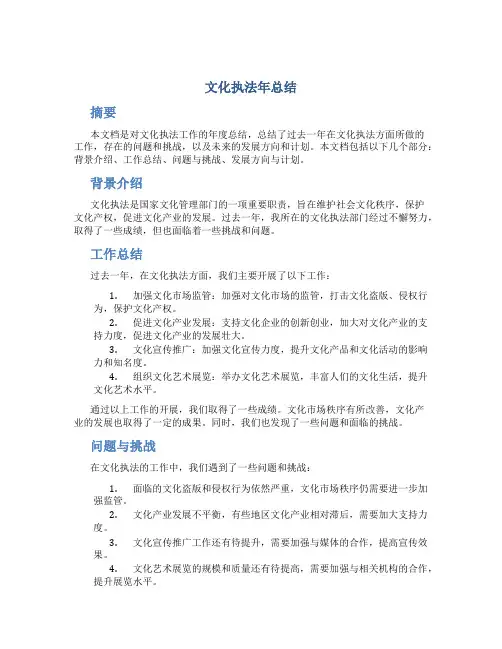 文化执法年总结
