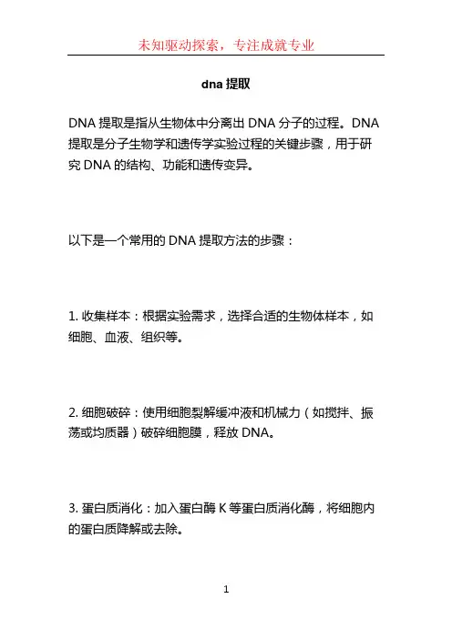 dna提取