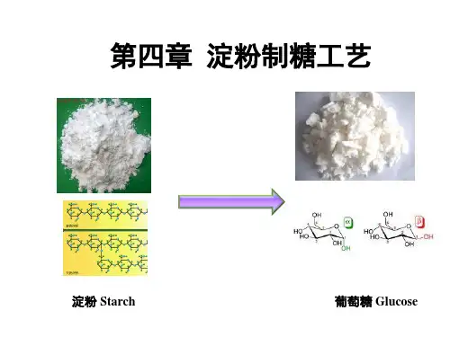 生物化工工艺学--第4章--淀粉制糖工艺