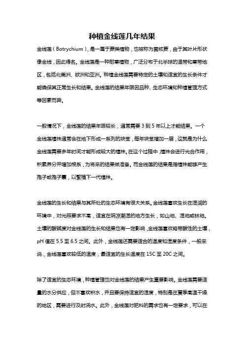 种植金线莲几年结果