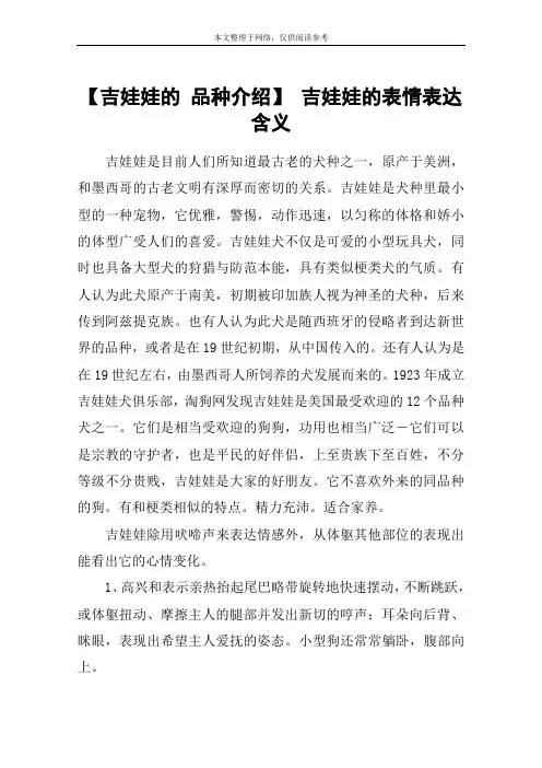 【吉娃娃的 品种介绍】 吉娃娃的表情表达含义