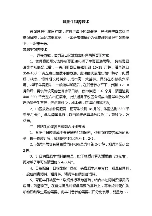 育肥牛饲养技术