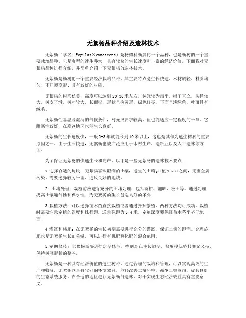 无絮杨品种介绍及造林技术