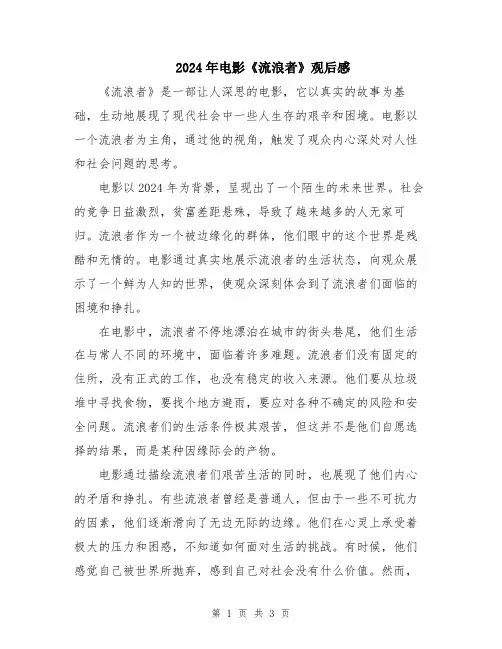 2024年电影《流浪者》观后感