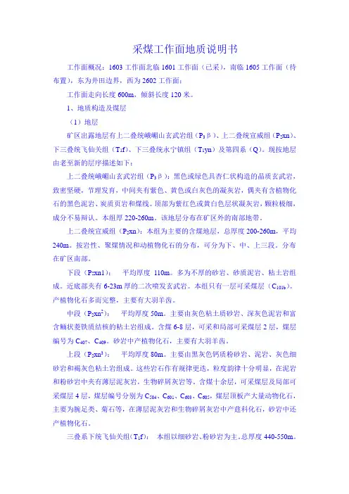 采煤工作面地质说明书