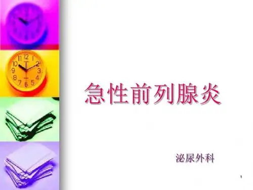 急性前列腺炎PPT课件