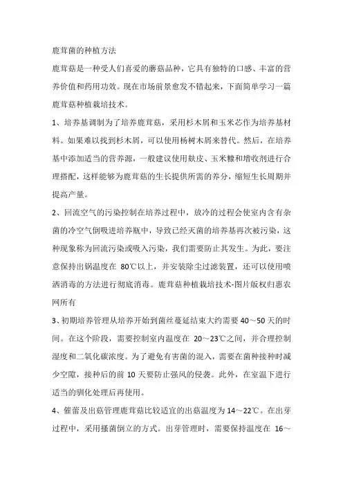 鹿茸菌的种植方法