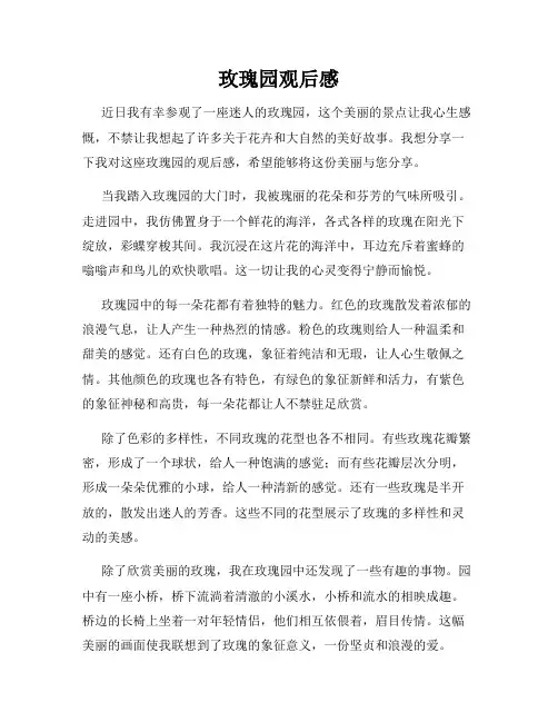 玫瑰园观后感