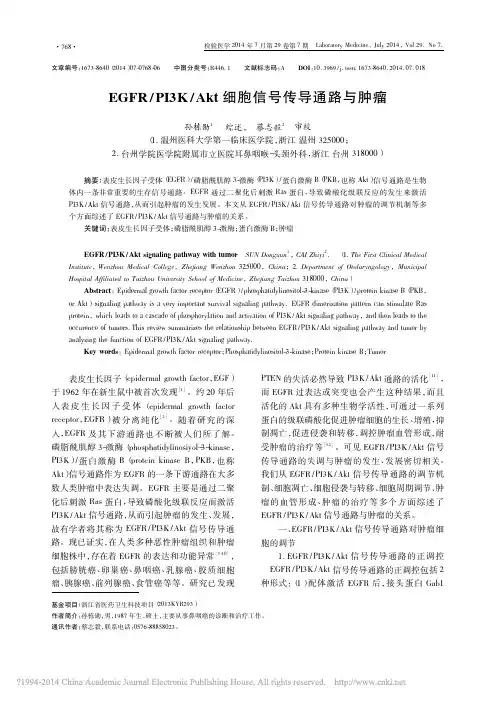 EGFR／PI3K_Akt 细胞信号传导通路与肿瘤