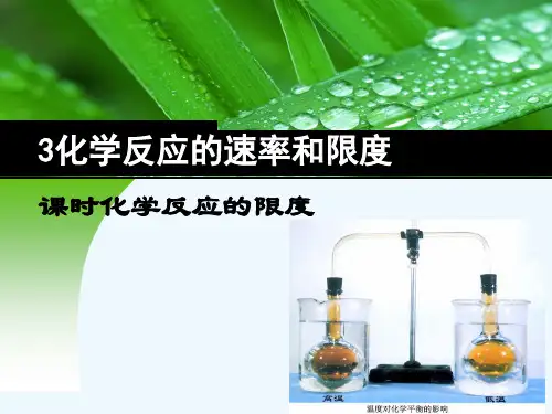 化学反应限度及反应条件的控制