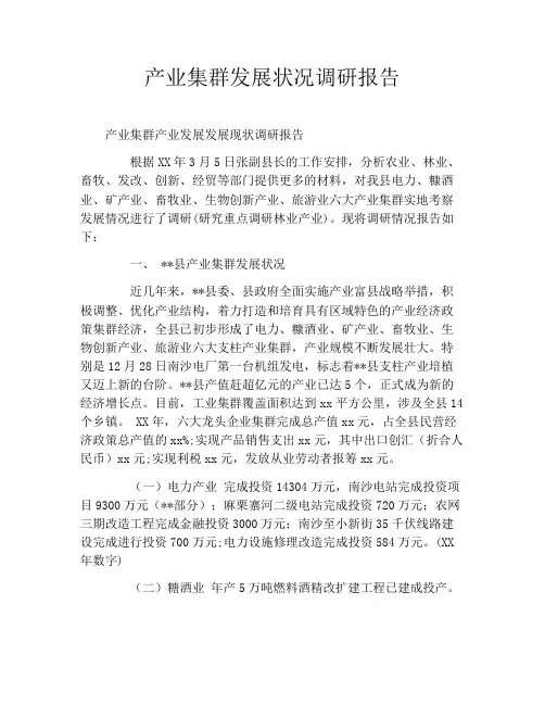 产业集群发展状况调研报告