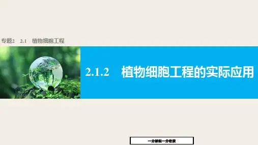 高二生物人教版选修3课件：专题2_基因工程_2.1.2