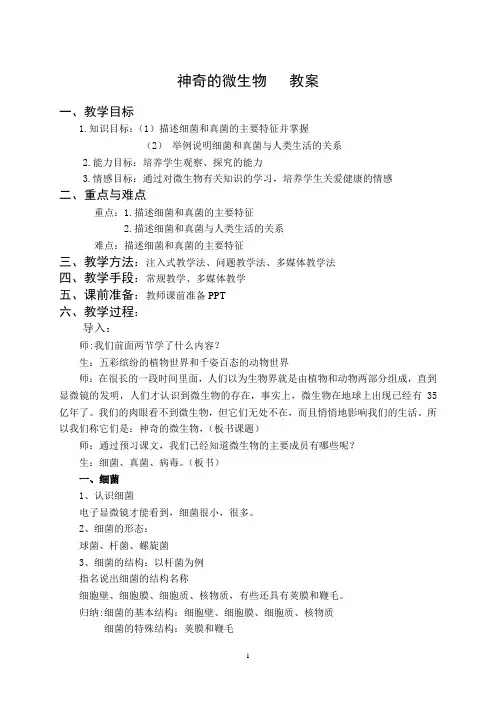 苏教版八年级生物上册  神奇的微生物 教案