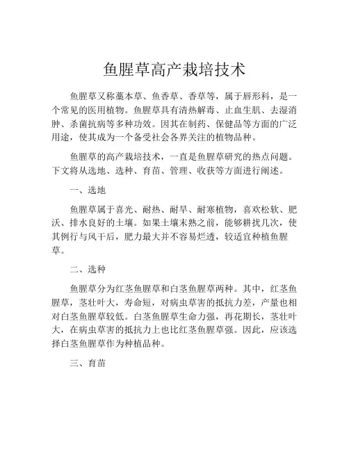 鱼腥草高产栽培技术