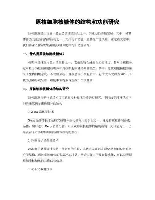 原核细胞核糖体的结构和功能研究