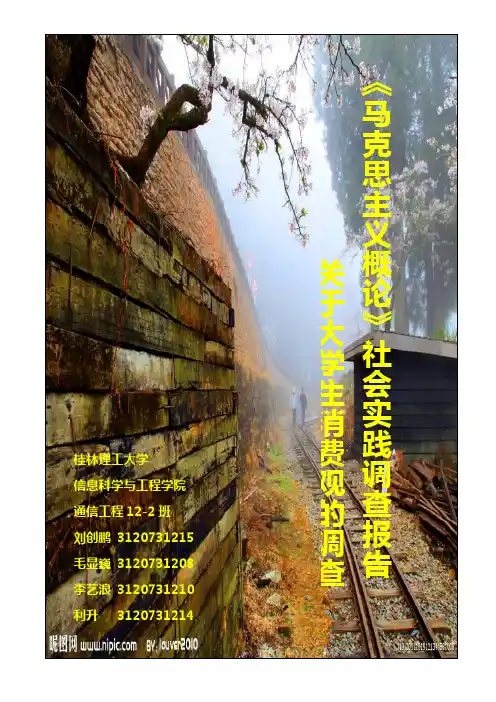 桂林理工大学《马克思主义概论》社会实践-关于大学生消费观的调查报告
