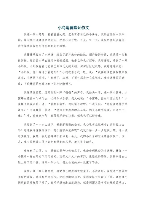 小乌龟冒险记作文