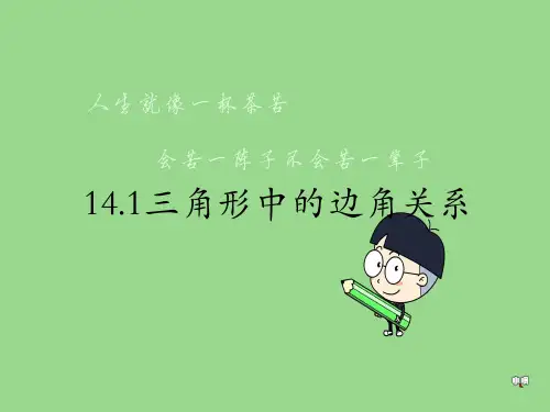 三角形中的边角关系PPT教学课件