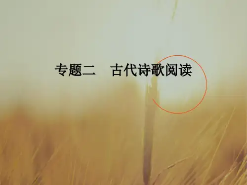 2018届高考语文二轮复习江苏专用课件 第一部分 古代诗文阅读 专题二