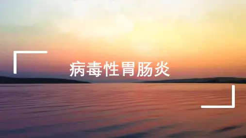 病毒性胃肠炎全