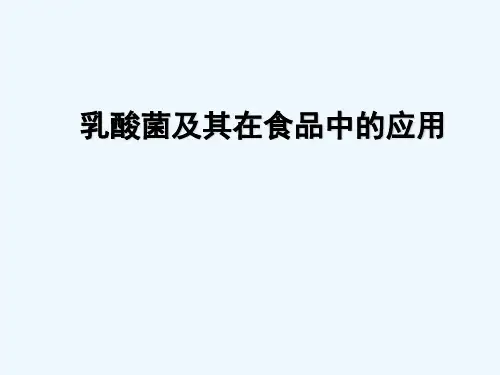 乳酸菌微生物-PPT