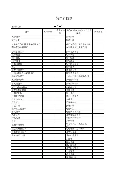 资产负债表-2019年度未执行新准则