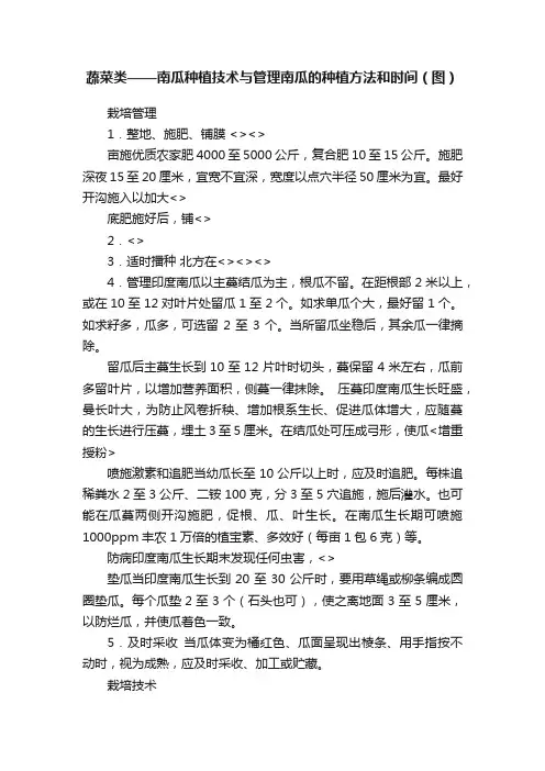 蔬菜类——南瓜种植技术与管理南瓜的种植方法和时间（图）