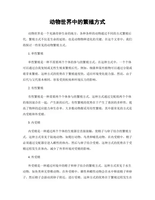 动物世界中的繁殖方式