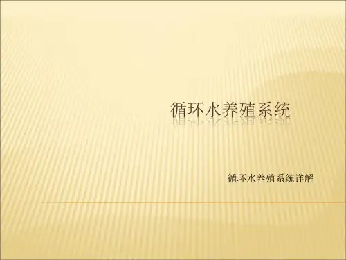 循环水养殖系统详解