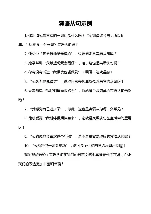 宾语从句示例