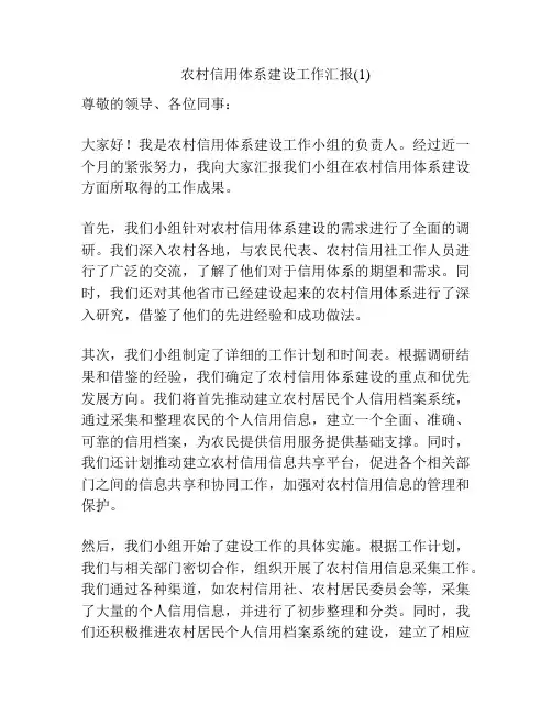 农村信用体系建设工作汇报(1)
