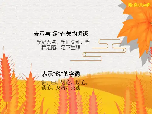 小学生必背词语PPT课件17