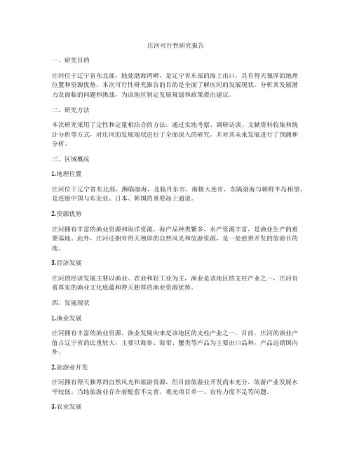 庄河可行性研究报告