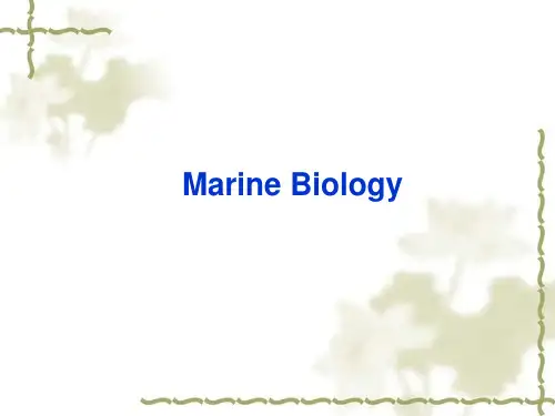 海洋生物学PPT课件
