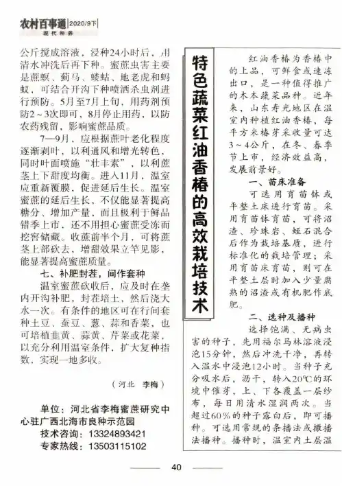 特色蔬菜红油香椿的高效栽培技术