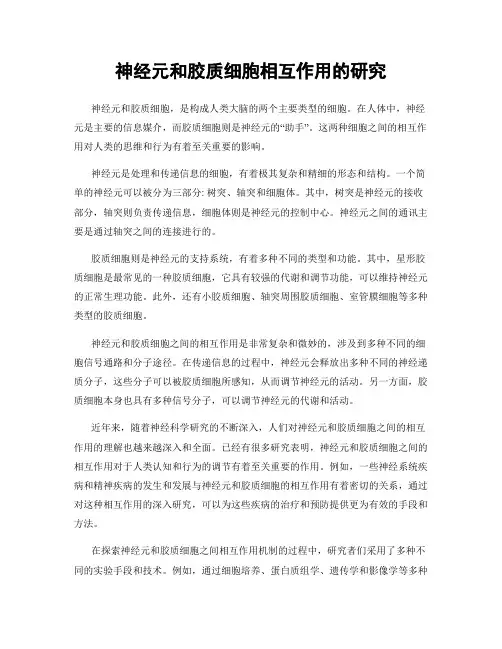 神经元和胶质细胞相互作用的研究