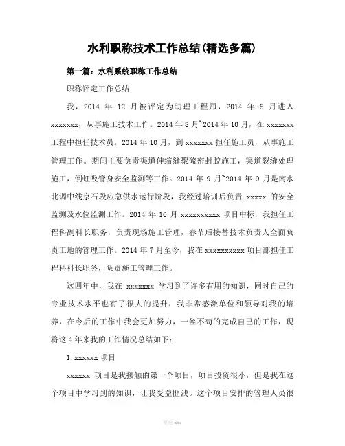 水利职称技术的工作总结(精选多篇)