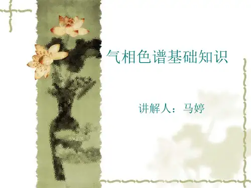 气相色谱基础知识.ppt