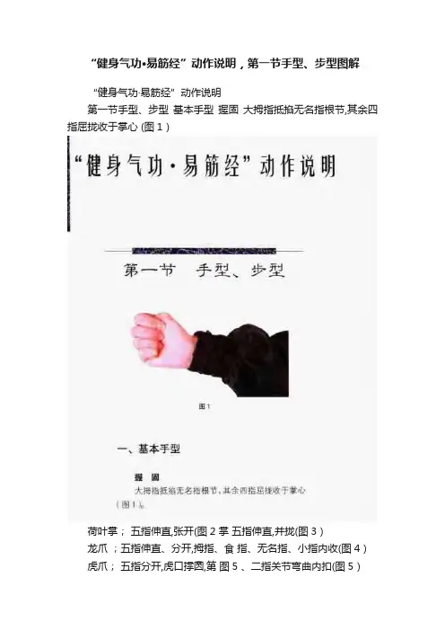 “健身气功·易筋经”动作说明，第一节手型、步型图解