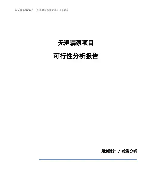 无泄漏泵项目可行性分析报告(模板参考范文)