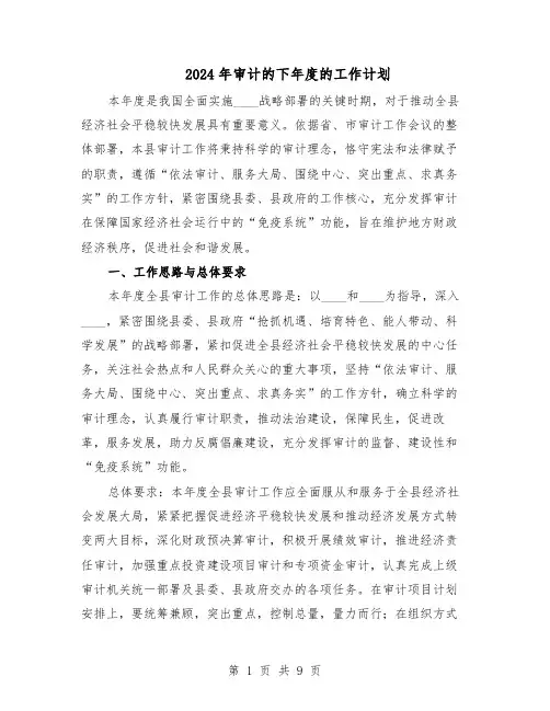 2024年审计的下年度的工作计划（4篇）