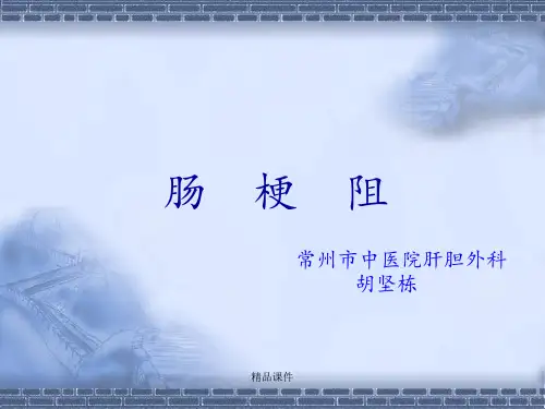 肠梗阻的治疗